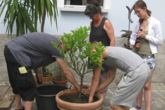 Alle-austretenden-Jugendlichen-duerfen-einen-Baum-pflanzen-1