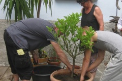 Alle-austretenden-Jugendlichen-duerfen-einen-Baum-pflanzen-3