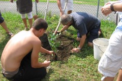 Alle-austretenden-Jugendlichen-duerfen-einen-Baum-pflanzen-4