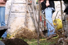 Alle-austretenden-Jugendlichen-duerfen-einen-Baum-pflanzen-5
