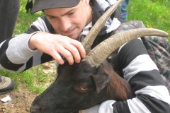 Begegnung-mit-Geiss