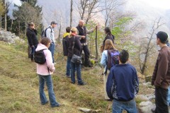 Besichtigung-der-Kastanienselva-in-Mergoscia