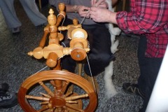 Das-Spinnen-in-der-Realitaet