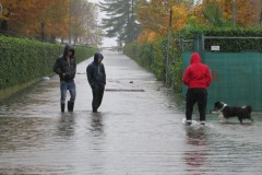 Der-See-hat-Hochwasser