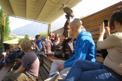 Falconeria-Locarno