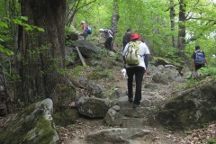 Wanderung-mit-Aufstieg