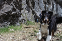 Pfingstlager-Bleniotal-mit-Hund-Sira