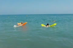 Im-Meer