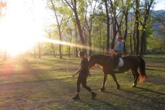 Reiten-bei-Barbara-Gianettoni_