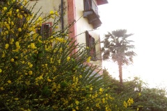 CasaGialla-Impression