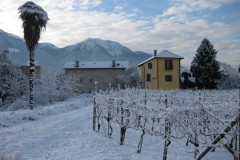 FG-als-kleine-Naturinsel-1