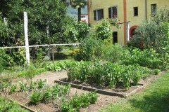 Unser-Gemuesegarten