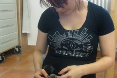 Die-Kuecken-sind-geschluepft_2-2014