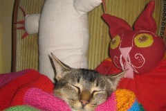 Handarbeiten-mit-Katze