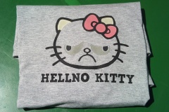 Projekt-T-Shirt-bedrucken-2