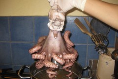 Tintenfisch-kochen-1